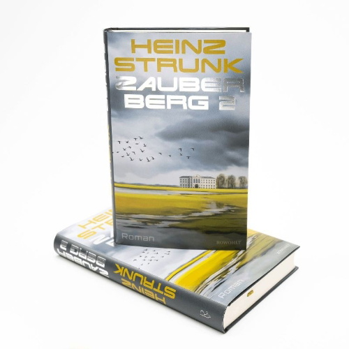 Buchcover und Innenansicht für das Buch: Zauberberg 2