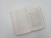 Buchcover und Innenansicht für das Buch: The Curfew