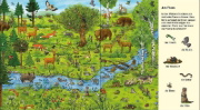 Buchcover und Innenansicht für das Buch: Suche und finde! - Wilde Tiere