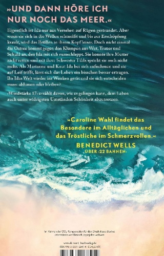 Buchcover und Innenansicht für das Buch: Windstärke 17