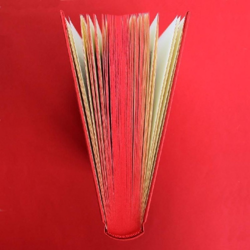 Buchcover und Innenansicht für das Buch: Berlin - ein Stadtschicksal