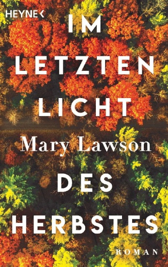 Buchcover und Innenansicht für das Buch: A Town Called Solace