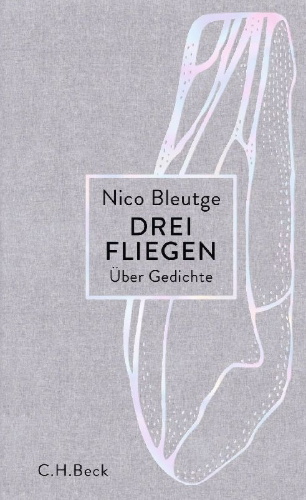Buchcover und Innenansicht für das Buch: Drei Fliegen
