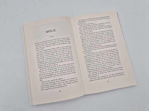 Buchcover und Innenansicht für das Buch: Liars all around me