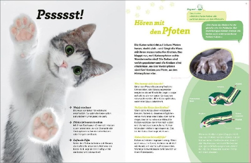 Buchcover und Innenansicht für das Buch: WAS IST WAS Katzen. Eigenwillige Schnurrer