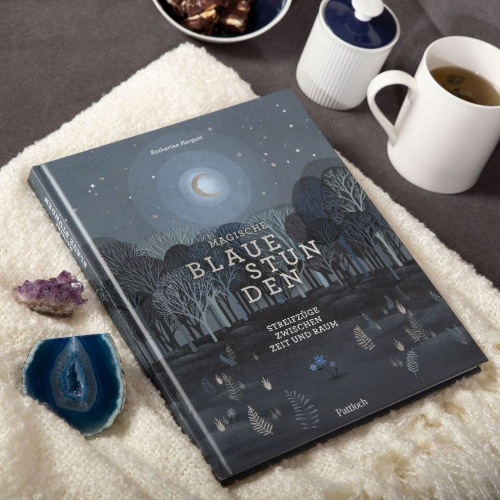 Buchcover und Innenansicht für das Buch: Magische blaue Stunden