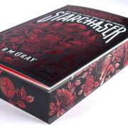 Buchcover und Innenansicht für das Buch: Starchaser (The Nightweaver Series, #2)