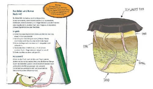 Buchcover und Innenansicht für das Buch: Die Müllabfuhr in der Natur - Alles über Mistkäfer und Co.