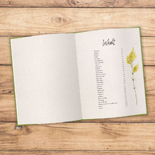 Buchcover und Innenansicht für das Buch: Kostbare Wildkräuter
