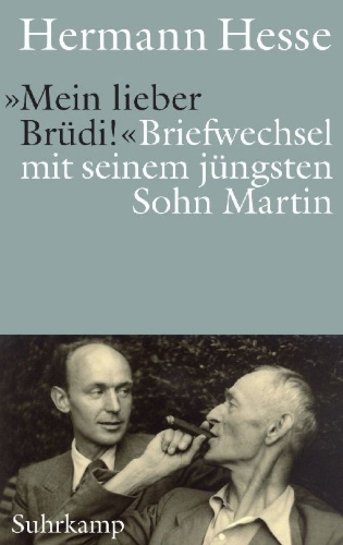 Buchcover und Innenansicht für das Buch: 'Mein lieber Brüdi!'