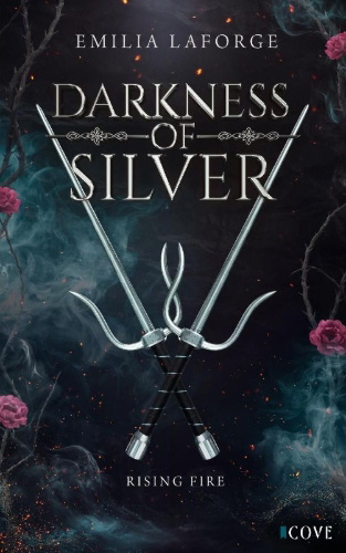 Buchcover und Innenansicht für das Buch: Darkness of Silver 2: Rising Fire