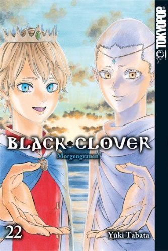 Buchcover und Innenansicht für das Buch: Black Clover 22