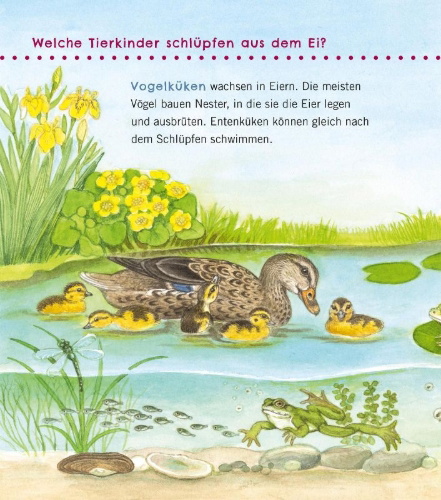 Buchcover und Innenansicht für das Buch: Unkaputtbar: Erstes Wissen: Tiere und ihre Kinder