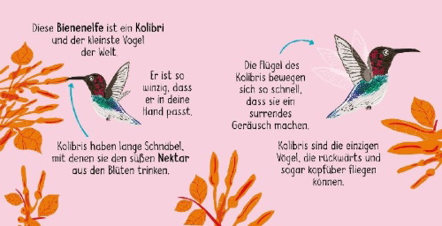 Buchcover und Innenansicht für das Buch: 50 Wörter über die Natur - Vögel