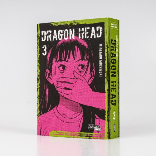 Buchcover und Innenansicht für das Buch: Dragon Head