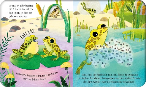 Buchcover und Innenansicht für das Buch: Schau mal, wie ich wachse! Vom Laich zum Frosch