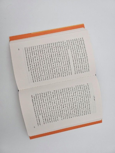 Buchcover und Innenansicht für das Buch: Churchill und die Deutschen