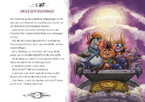 Buchcover und Innenansicht für das Buch: Die Geschwister Flederzisch