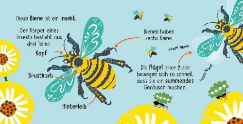Buchcover und Innenansicht für das Buch: 50 Wörter über die Natur - Insekten