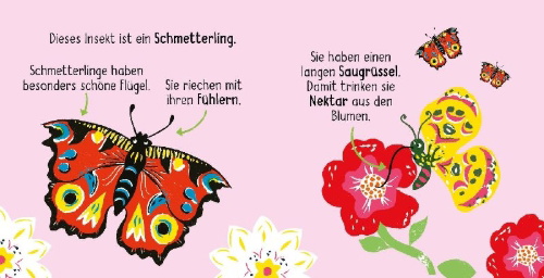 Buchcover und Innenansicht für das Buch: 50 Wörter über die Natur - Insekten
