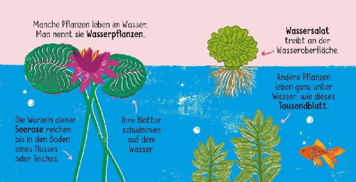Buchcover und Innenansicht für das Buch: 50 Wörter über die  Natur - Pflanzen