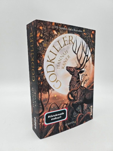 Buchcover und Innenansicht für das Buch: Godkiller