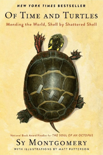 Buchcover und Innenansicht für das Buch: Of Time and Turtles