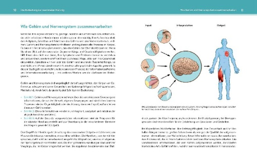Buchcover und Innenansicht für das Buch: Neuronale Heilung