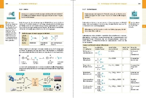 Buchcover und Innenansicht für das Buch: Basiswissen Schule - Chemie 5. bis 10. Klasse