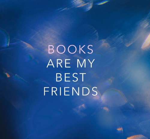 Buchcover und Innenansicht für das Buch: Crazy Stupid Bromance