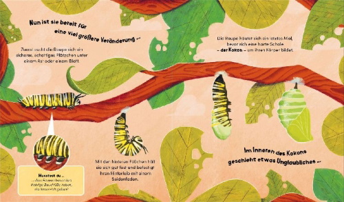Buchcover und Innenansicht für das Buch: Watch Me Grow: Butterflies
