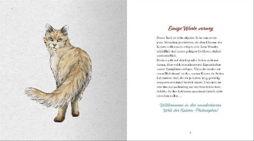 Buchcover und Innenansicht für das Buch: Kleine Katzenphilosophie