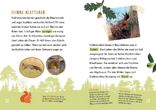 Buchcover und Innenansicht für das Buch: Dein Lesestart - Wald