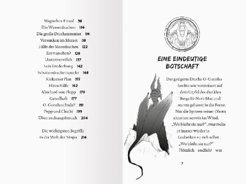 Buchcover und Innenansicht für das Buch: Dragon Ninjas, Band 6 - Der Drache des Wassers