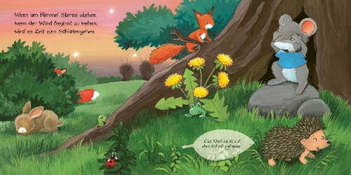 Buchcover und Innenansicht für das Buch: Wenn am Himmel Sterne stehen