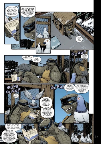 Buchcover und Innenansicht für das Buch: Teenage Mutant Ninja Turtles IDW Collection 09
