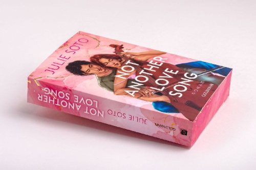 Buchcover und Innenansicht für das Buch: Not another Love Song