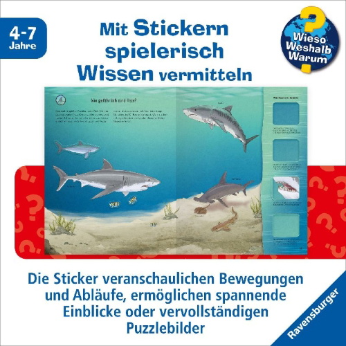 Buchcover und Innenansicht für das Buch: Wieso? Weshalb? Warum? Stickerheft - Meerestiere