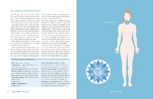 Buchcover und Innenansicht für das Buch: Das große Buch der Energieheilung