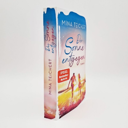Buchcover und Innenansicht für das Buch: Der Sonne entgegen