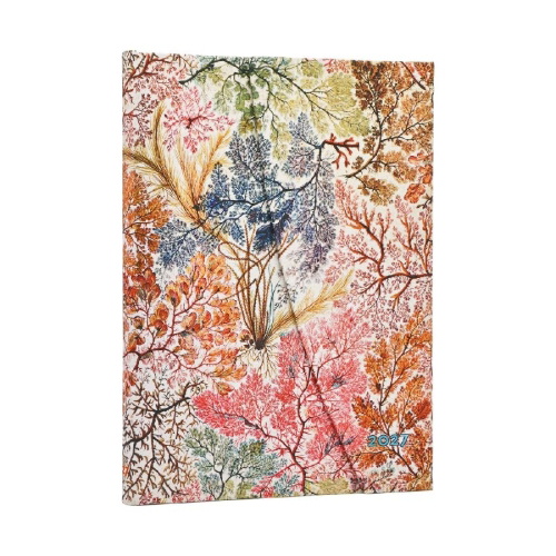 Buchcover und Innenansicht für das Buch: 12-Monatskalender 2027 Anemone Midi Verso