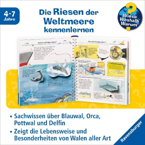 Buchcover und Innenansicht für das Buch: Wieso? Weshalb? Warum?, Band 41: Wir entdecken Wale und Delfine