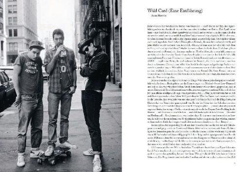 Buchcover und Innenansicht für das Buch: Beastie Boys Book