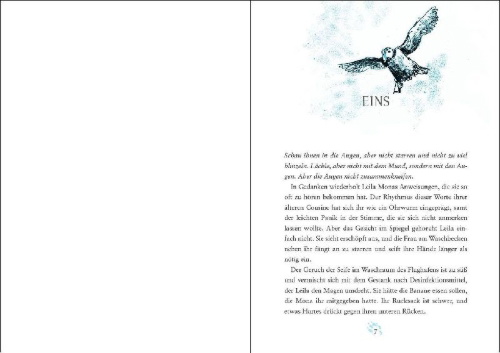 Buchcover und Innenansicht für das Buch: Leila And The Blue Fox