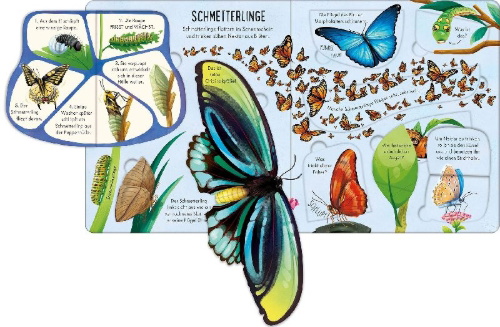 Buchcover und Innenansicht für das Buch: Aufklappen und Entdecken: Das Leben der Krabbeltiere