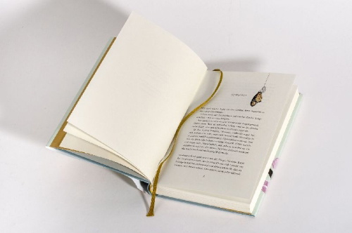 Buchcover und Innenansicht für das Buch: Das Jahr der Wunder