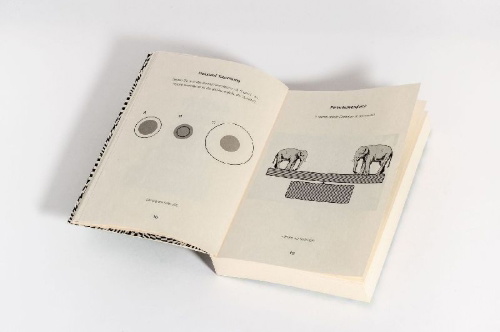 Buchcover und Innenansicht für das Buch: Optische Rätsel - Über 200 Rätsel für Augen und Verstand