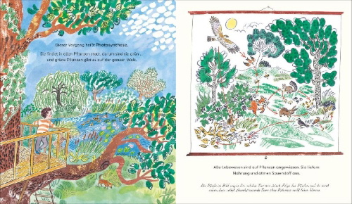 Buchcover und Innenansicht für das Buch: Green: The Story of Plant Life on Our Planet