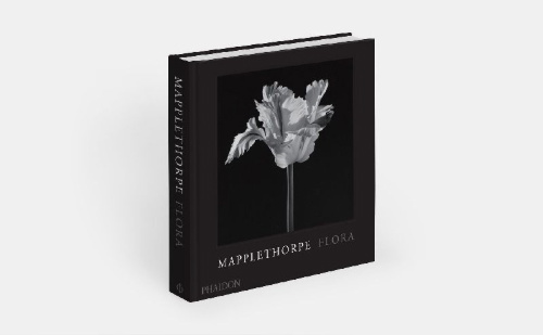 Buchcover und Innenansicht für das Buch: Mapplethorpe Flora