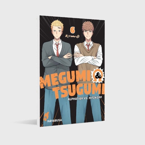 Buchcover und Innenansicht für das Buch: Megumi to Tsugumi